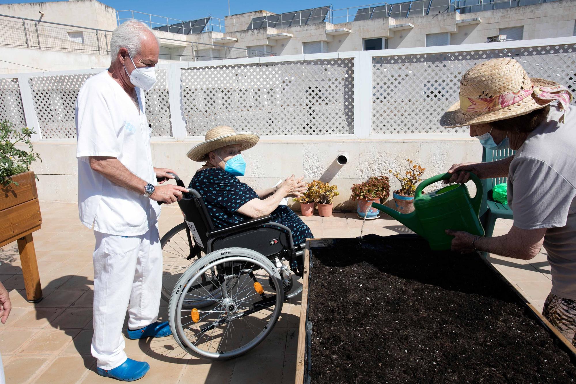 Huerto para mayores en Ibiza