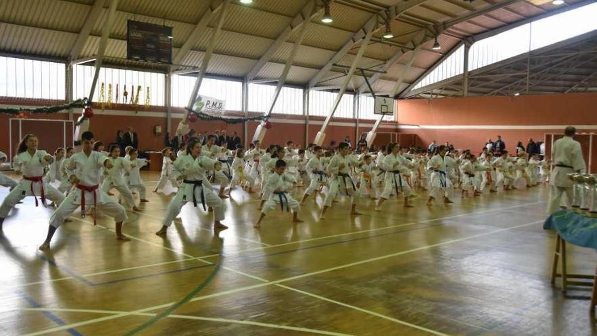 Una activida de kárate en el polideportivo de Castrillón.