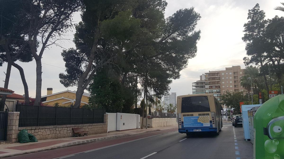 Un autobús circulando por la avenida Ferrandis Salvador de Benicàssim.