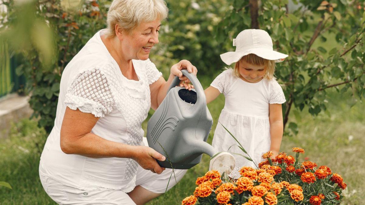 Vínculo nietos y abuela materna