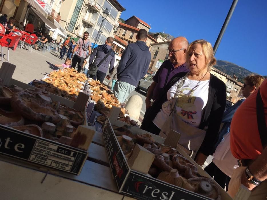 29a edició de la Fira del Bolet i el Boletaire de