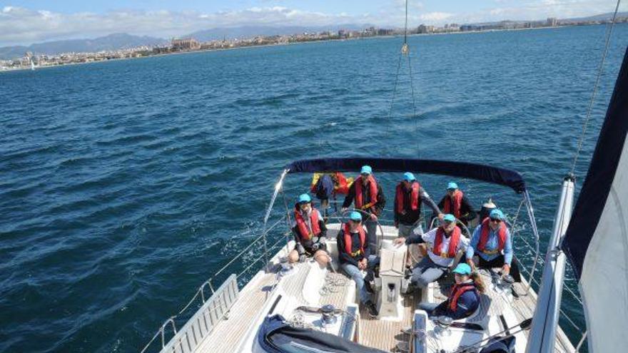 Dem Blutkrebs auf Mallorca davonsegeln