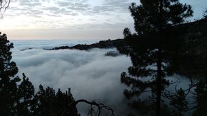 La niebla es una nube formada por diminutas gotas de agua en suspensión.
