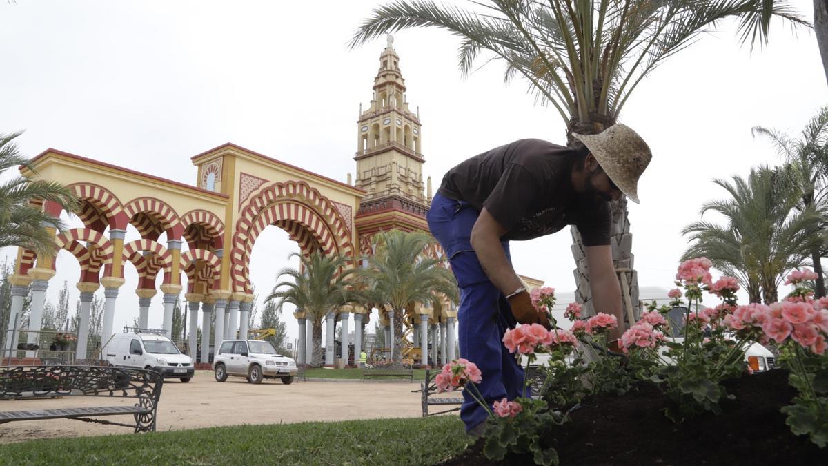 Un operario de Parques y Jardines planta geraneos en la Feria de Córdoba.