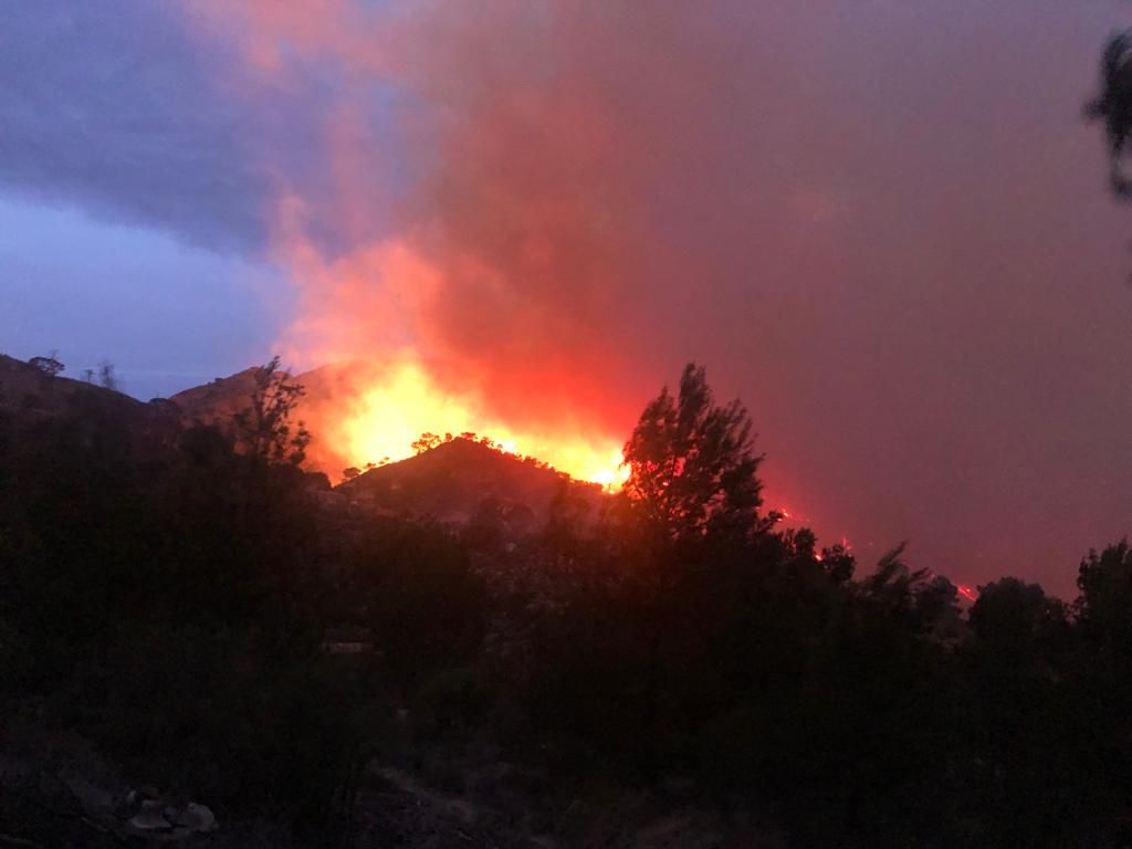 Fuerte incendio en la provincia de Alicante