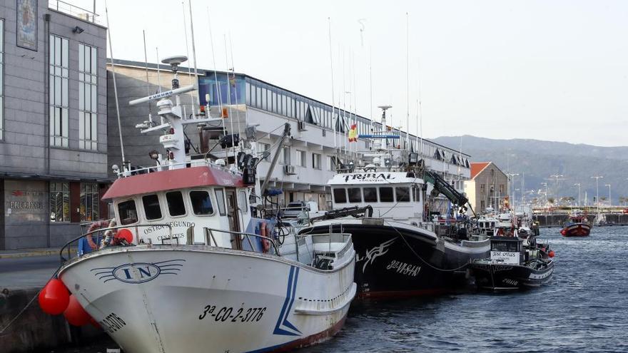 Barcos de cerco amarrados en Vigo.