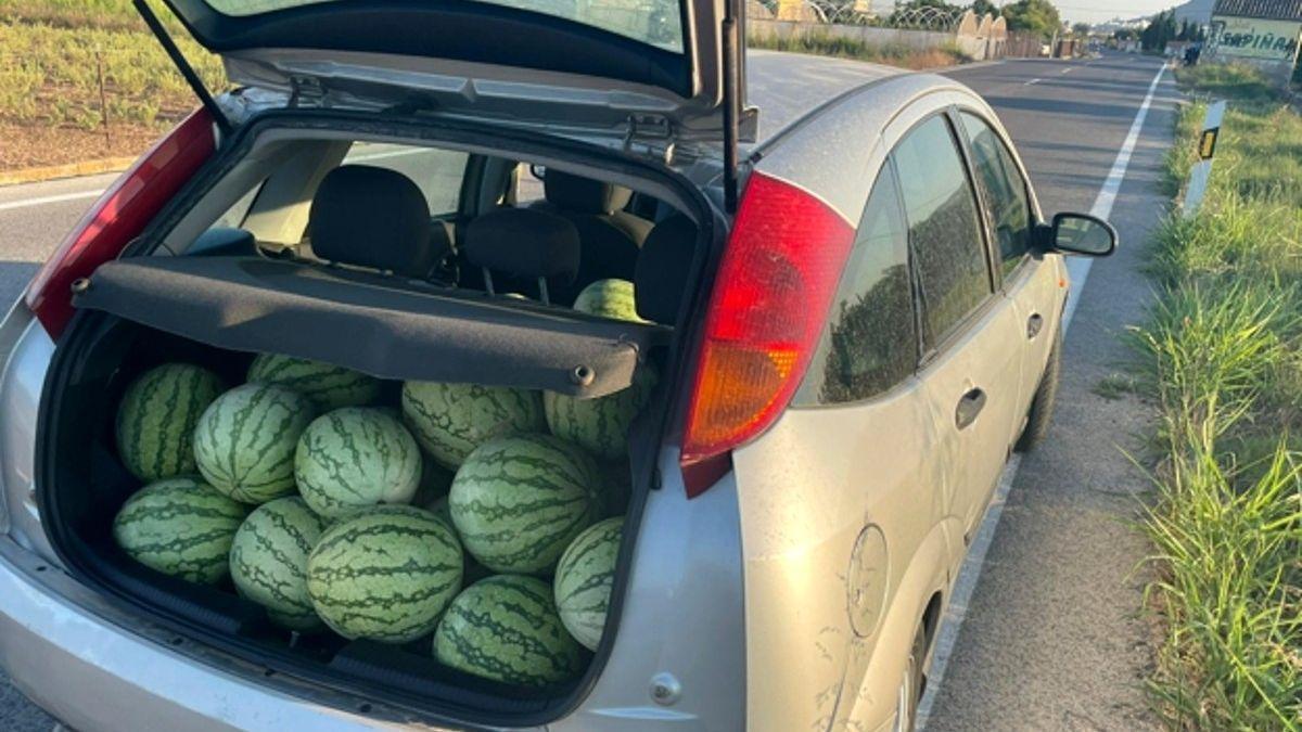 Así cargó en el coche las sandías el detenido