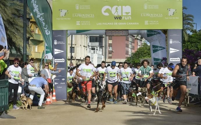 16/12/2018 LAS PALMAS DE GRAN CANARIA. Carrera ...