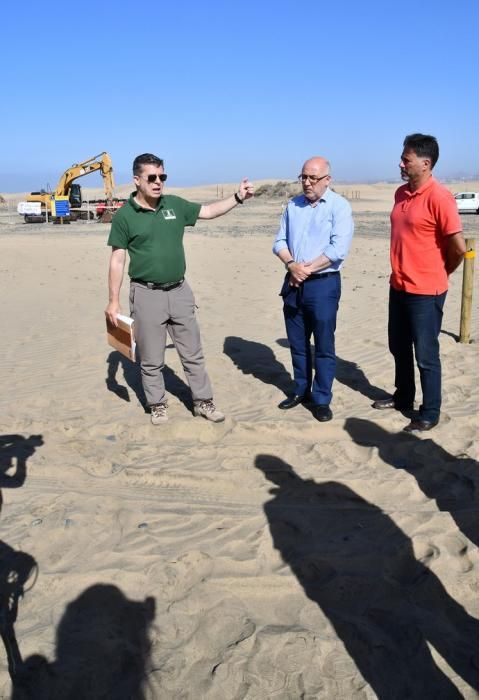 13/05/2019 MASPALOMAS. SAN BARTOLOME DE TIRAJANA. El presiddente del Cabildo de Gran Canria, Antonio Morales, y el consejero de Medio Ambiente y Emergencias, Miguel Ángel Rodríguez, informan del inicio de la segunda fase del proyecto para la recuperación de las dunas de Maspalomas, Masdunas, pionero en el mundo por sus carcterísticas .    Fotógrafa: YAIZA SOCORRO.  | 13/05/2019 | Fotógrafo: Yaiza Socorro