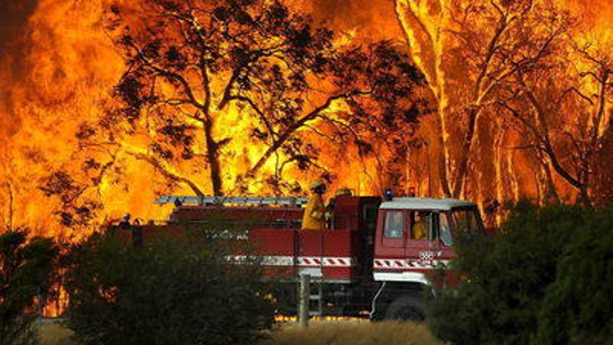 Un carro de bomberos pasa frente a las llamas mientras lucha contra un incendio forestal en el bosque Bunyip Sate, cerca al pueblo de Tonimbuk, Victoria, Australia, . Las autoridades han emitido advertencias de fuego en los poblados cercanos ya que la conflagración se encuentra fuera de control al este de Melbourne.