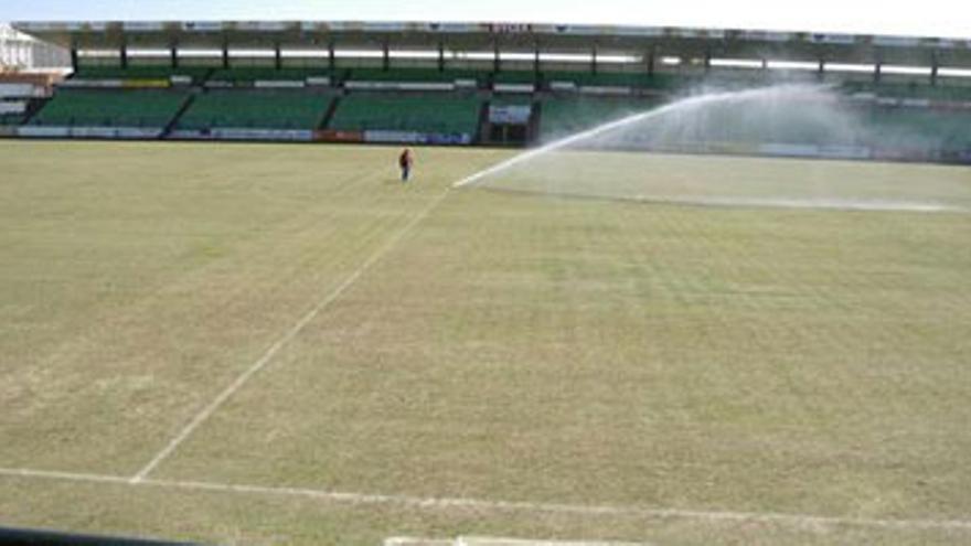 La remodelación del estadio Romano de Mérida cuesta tres millones de euros