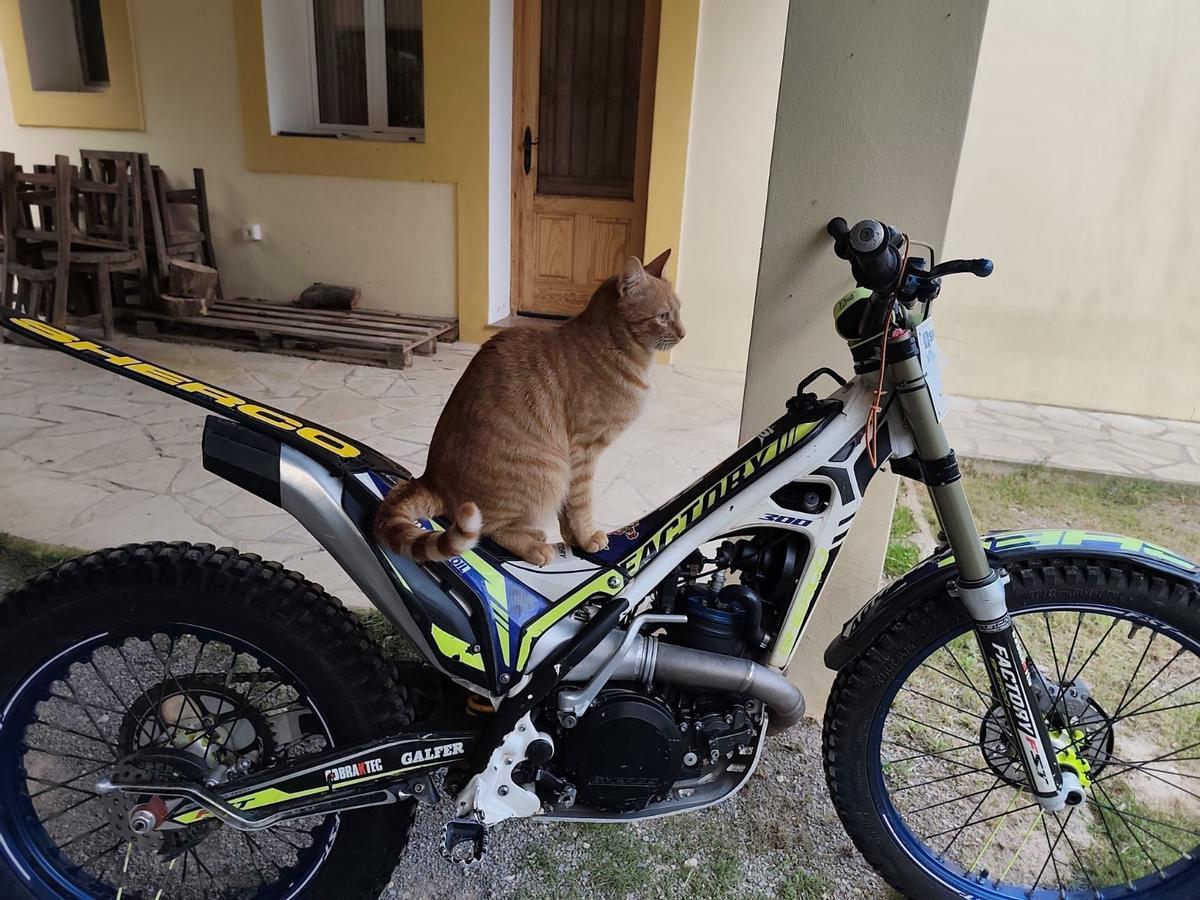 Garfield se apunta al trial