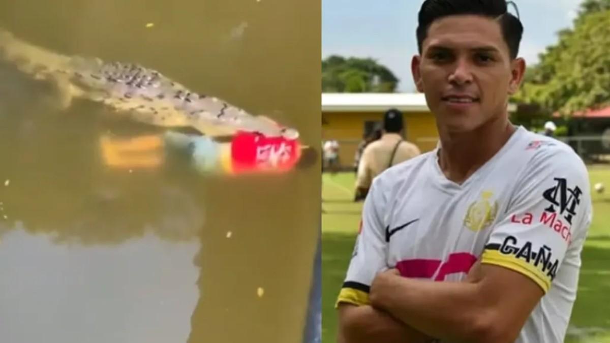 Vídeo | Muere un futbolista en Costa Rica por el ataque de un cocodrilo