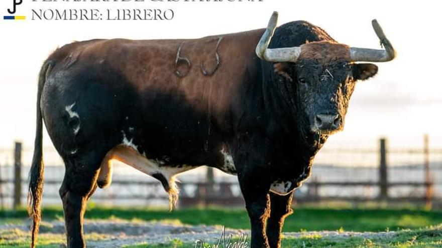 Los toros del Concurso Goyesco de Recortes de València