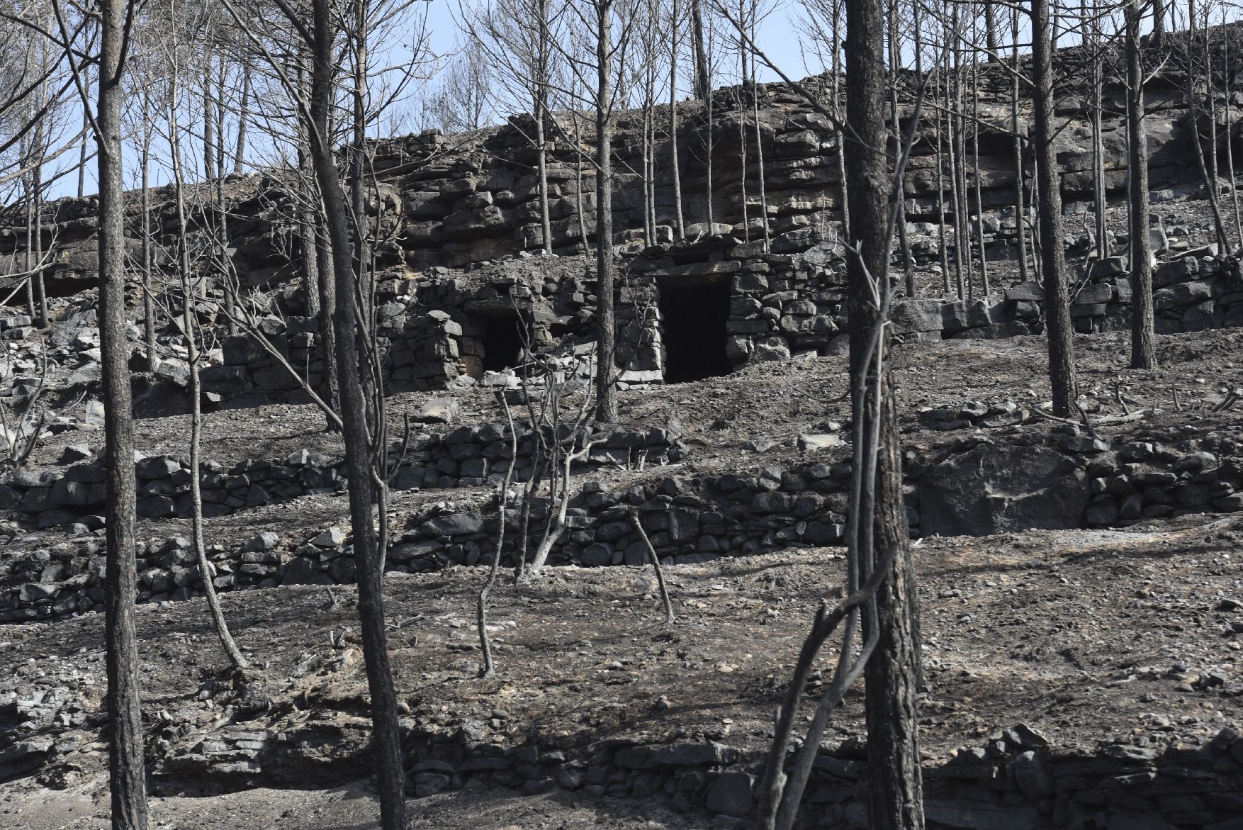 Així ha afectat el foc les tines de la Vall del Flequer