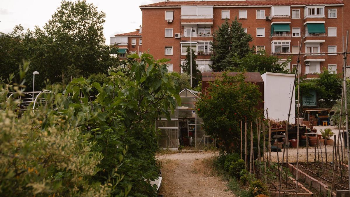 '40 fanegas', el huerto urbano a pequeña escala que ya lleva años funcionando en Chamartín.