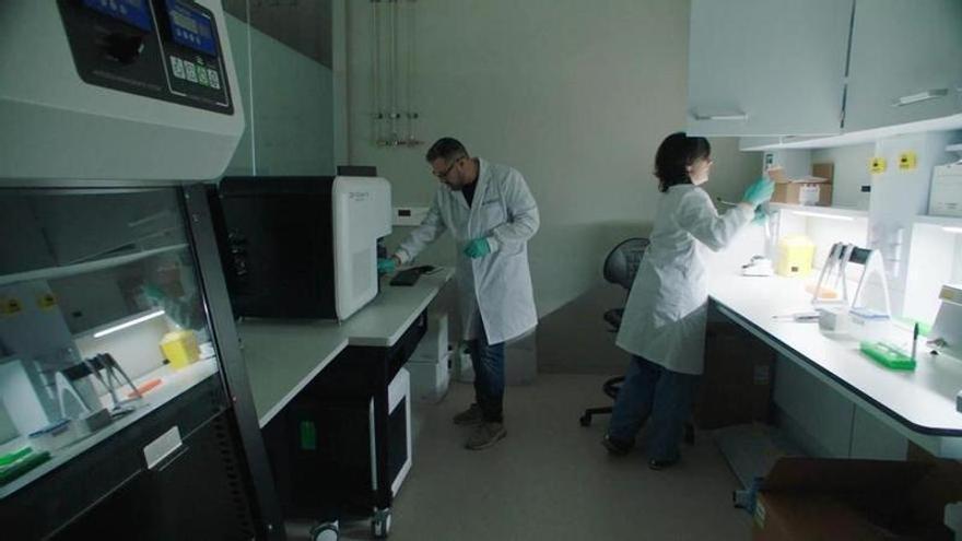 Caixa Research Institute