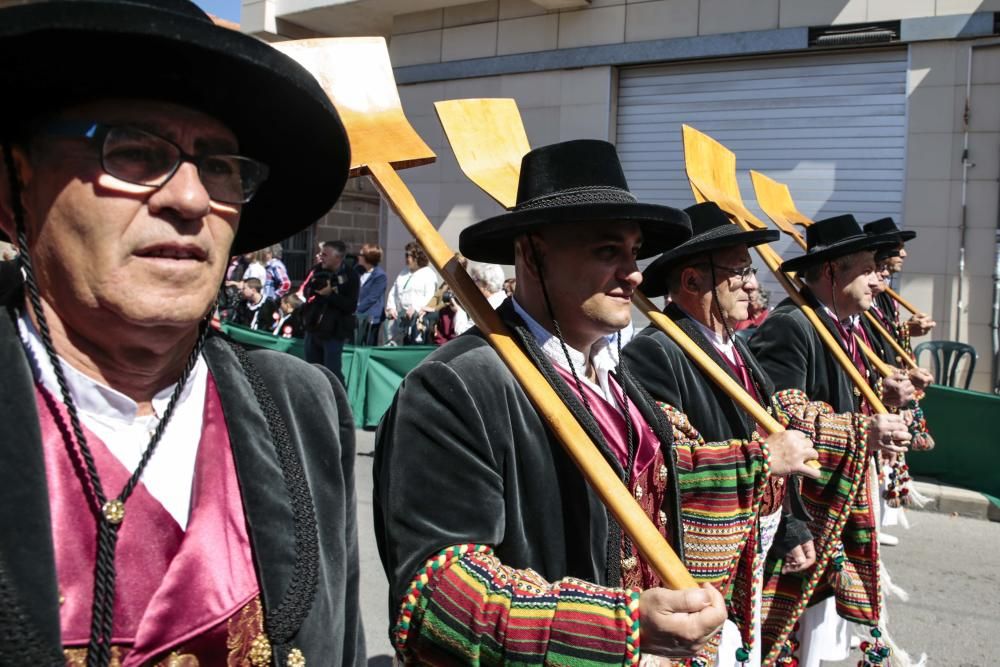 La comparsa Labradores presenta un boato muy participativo y primaveral, y con la interpretación del pasodoble Sueños Festeros logró emocionar al numeroso público