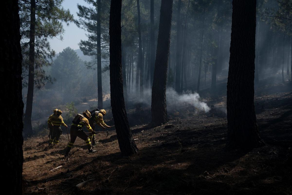 Firefighters fight a wildfire in forest near El Tiemblo, Avila region, Spain, on Wednesday, July 29, 2026. Spanish Prime Minister Pedro Sánchez said the country’s cabinet will declare the affected areas as “emergency zones” on Tuesday, opening the door to financial aid. Photographer: Brais Lorenzo/Bloomberg