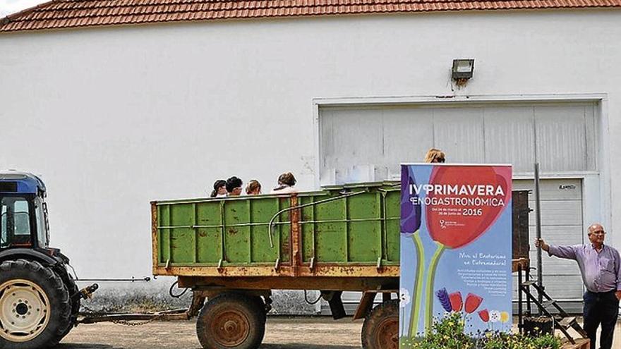 Aumenta el interés por recorrer la Ruta del Vino Ribera del Guadiana