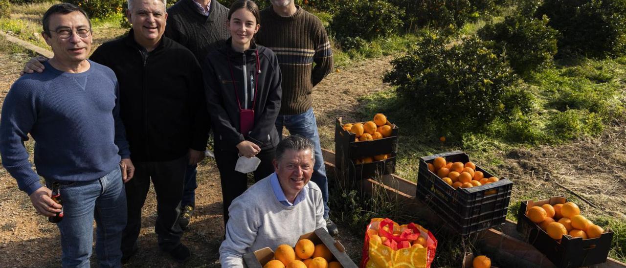Una de las jóvenes que recolectaron el sábado las naranjas de la familia de Benifaió. | GERMÁN CABALLERO