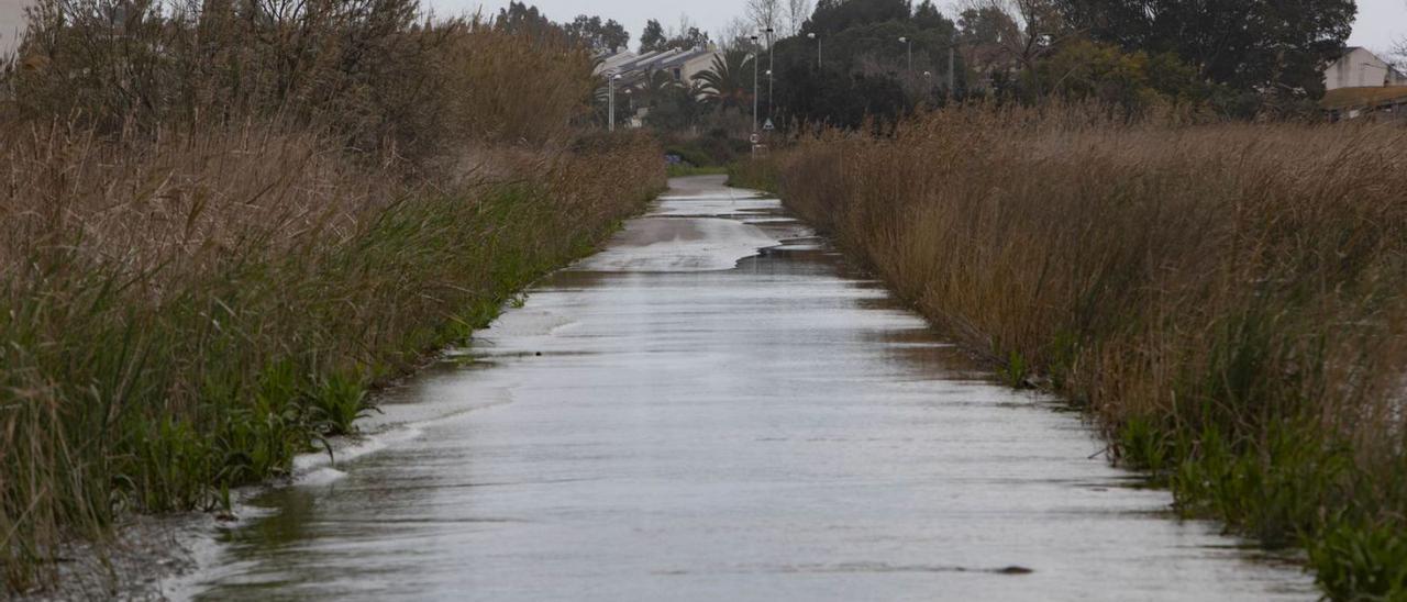 Zona de cultivos anegada este martes hasta la carretera. | DANIEL TORTAJADA