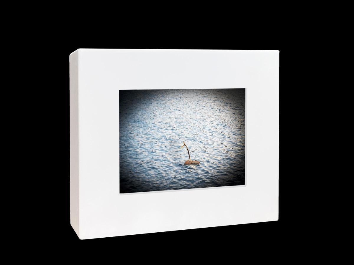 "Caja de luz, paisaje de resistencia, 64".