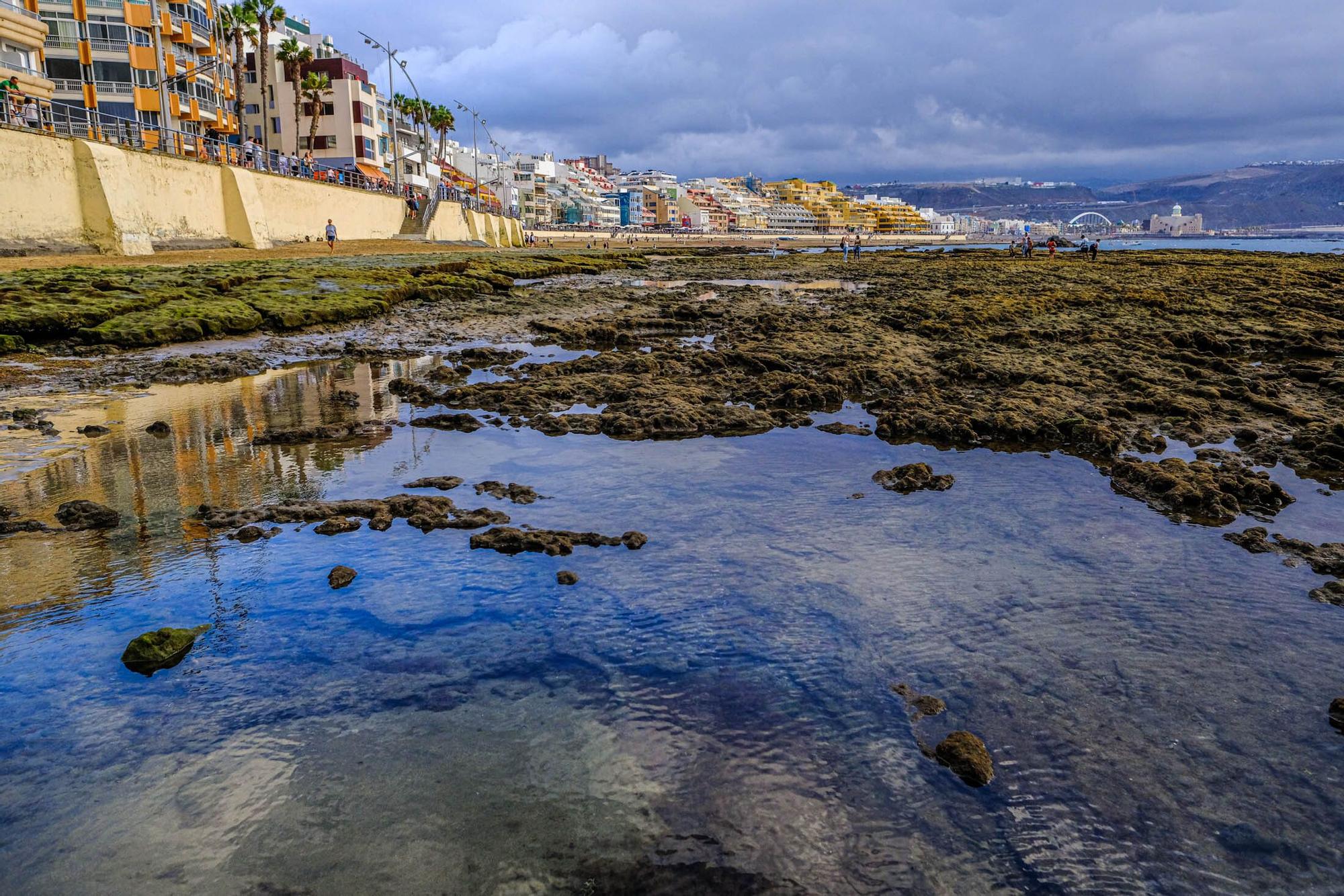 Playas fósiles de Las Canteras