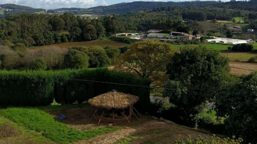 La construcción del nuevo centro social de Monteaguado durará diez meses