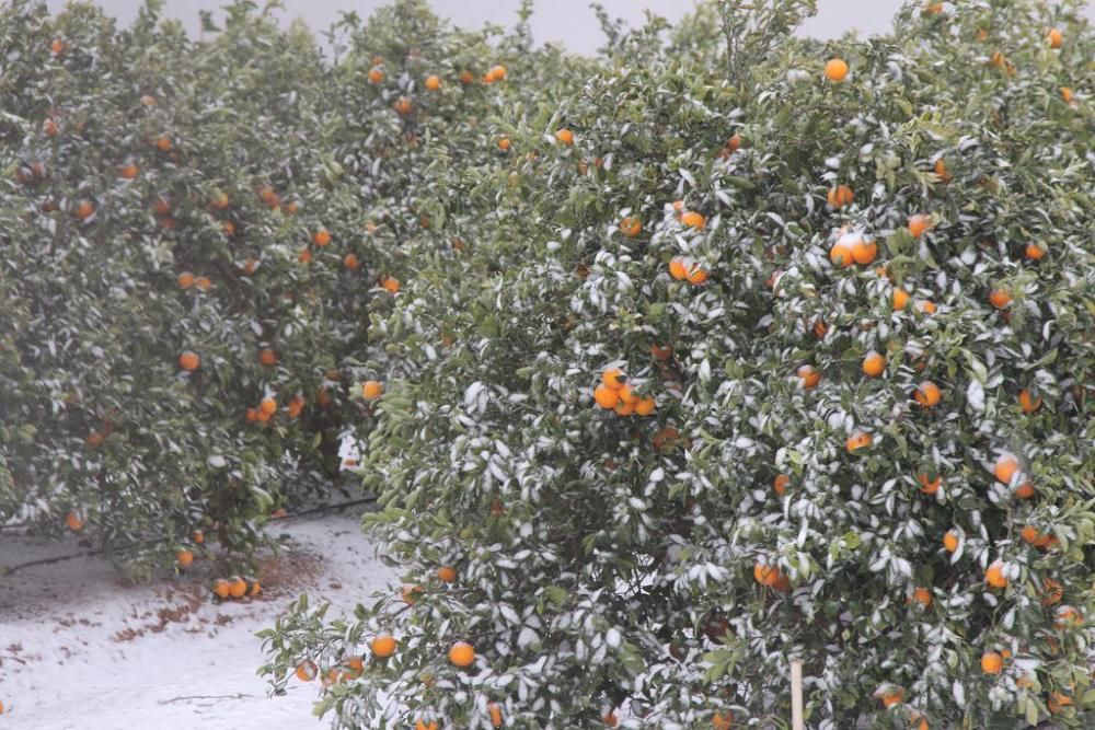 La nieve llega a San Javier, Balsicas y el Campo d