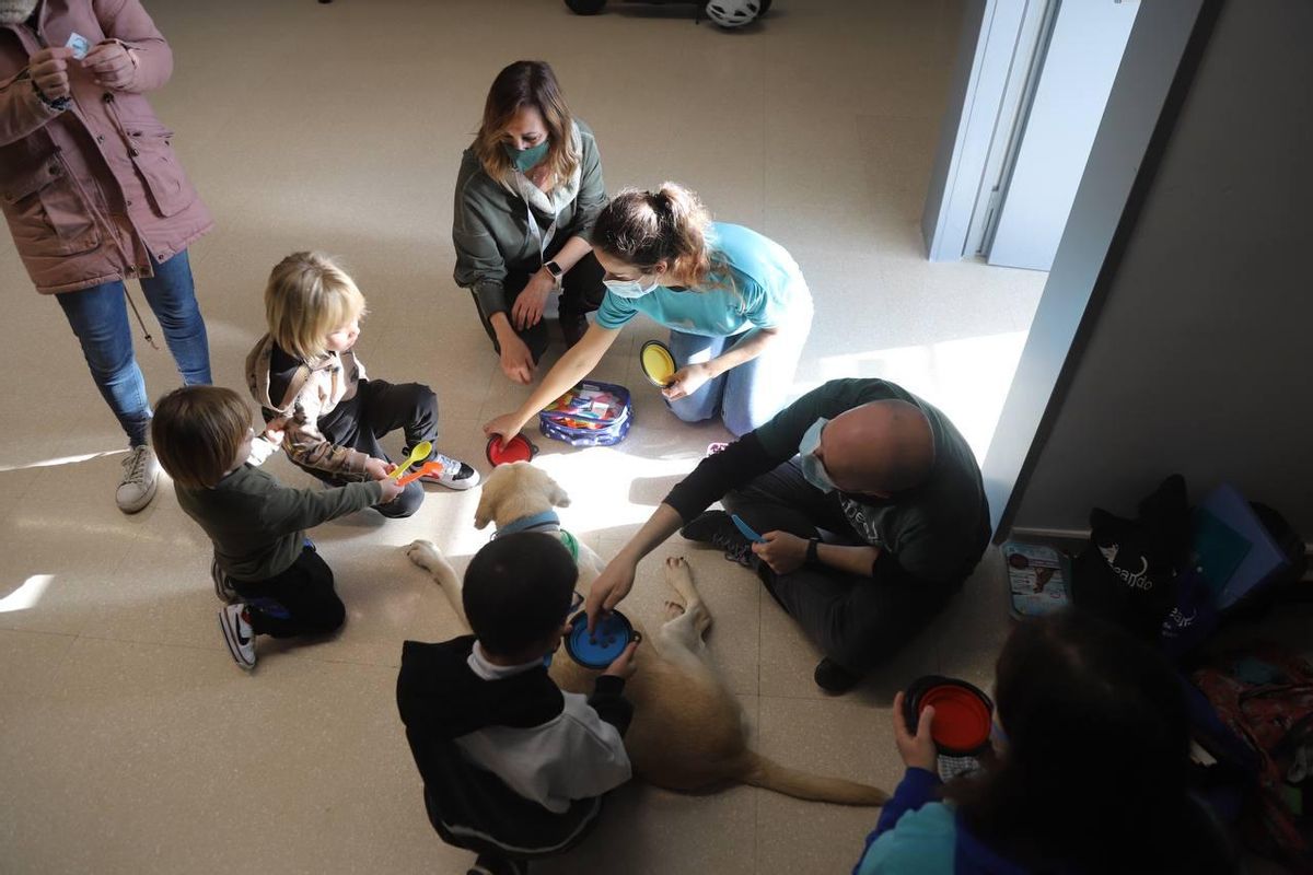 Los psicólogos y educadores de Perruneando, junto al perro Bourbon, y la coordinadora de la Unidad de Actividades Motivacionales del hospital Reina Sofía, Ana Calvo, junto a pacientes pediátricos.