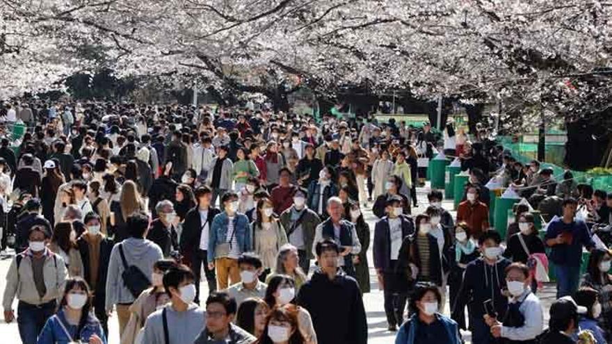 Los casos de coronavirus se disparan en Tokio tras la floración de los cerezos