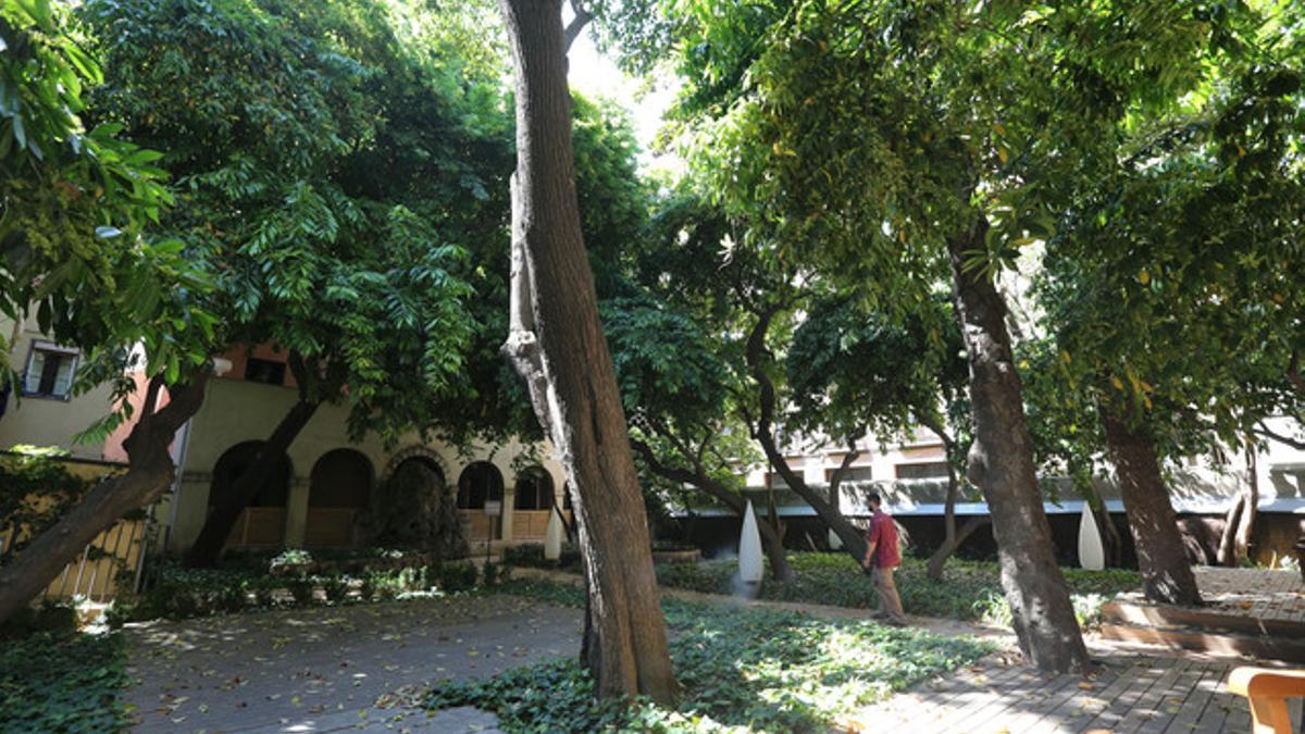 El jardín de la Casa de Ignacio de Puig.