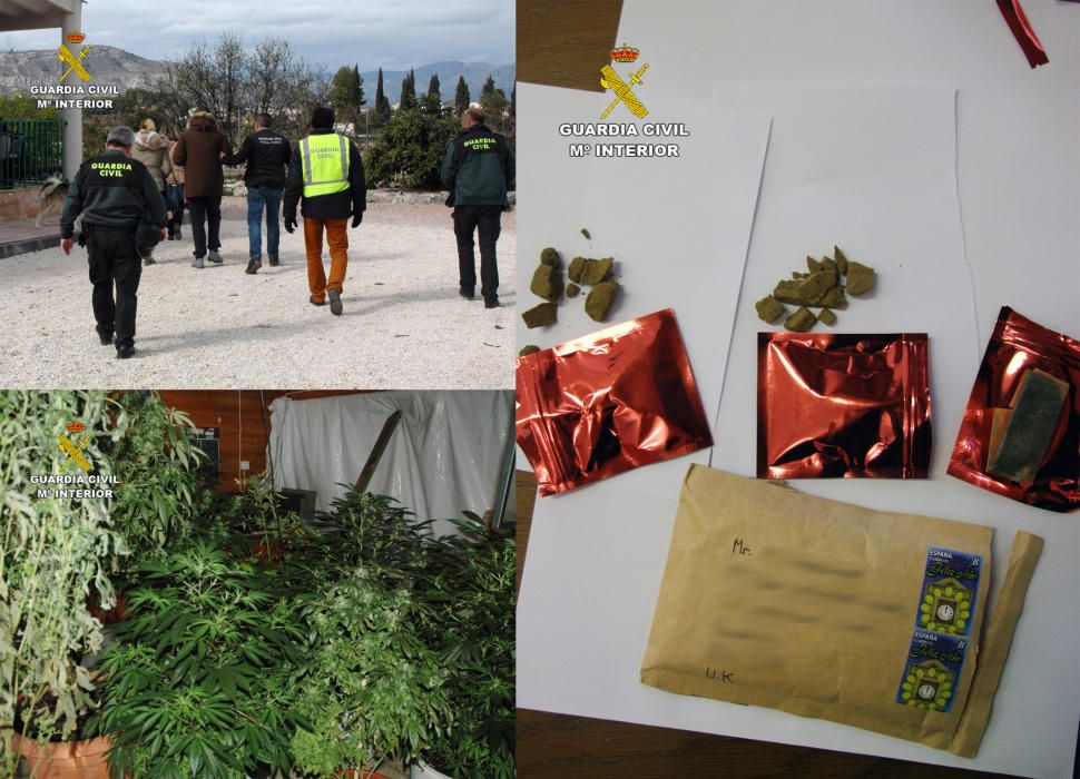 Desarticulada en Cehegín una organización dedicada al cultivo y envío de estupefacientes a Reino Unido