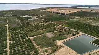 San Miguel de Salinas invertirá la ayuda contra inundaciones en una zona agrícola en vez del casco urbano