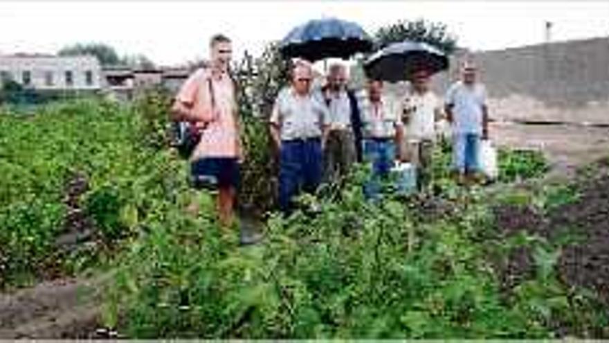 Protesten pels robatoris a les hortes