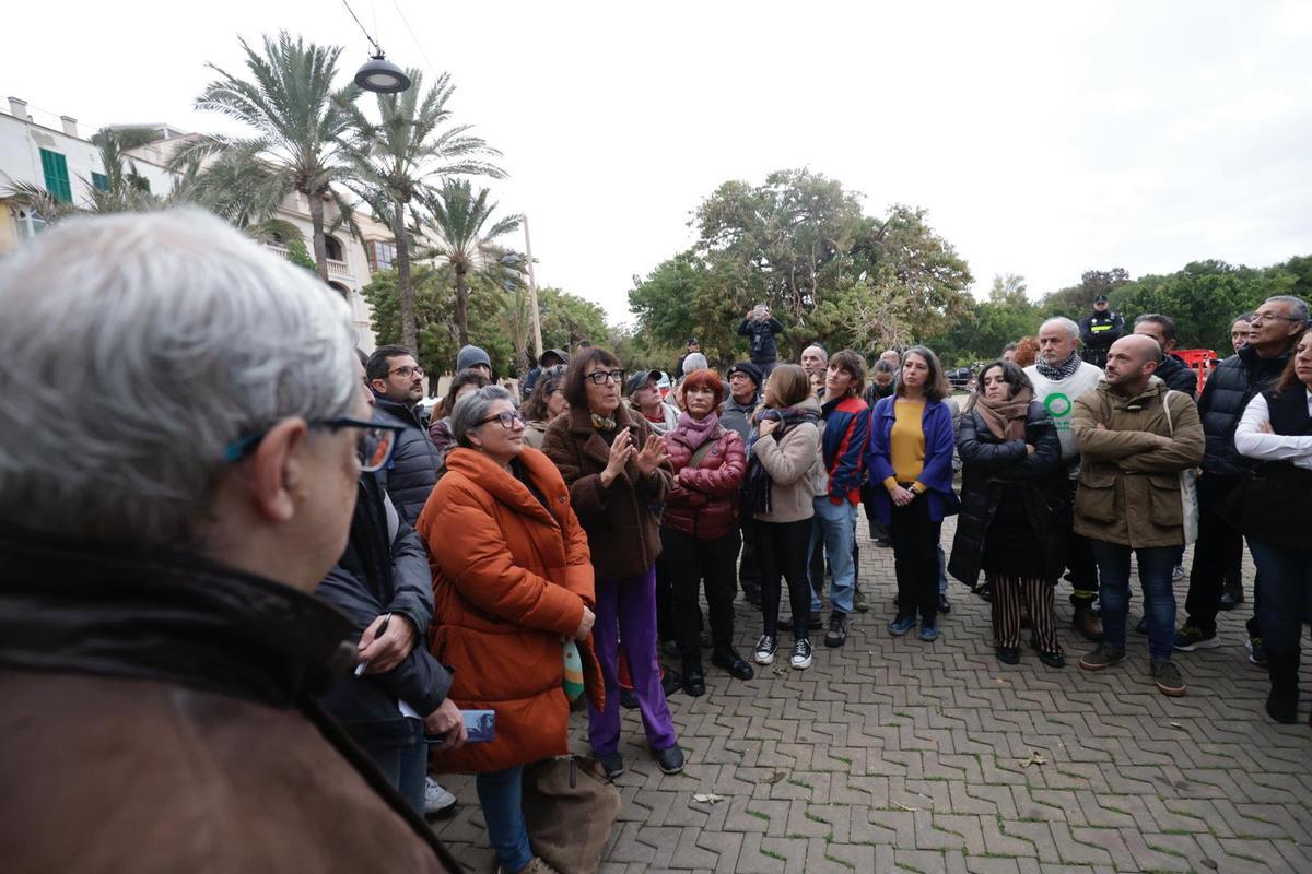 Los vecinos consiguen parar la tala de árboles en la plaza Llorenç ...