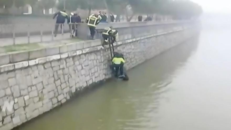 Efectivos rescatando el cuerpo del río. efe / telemadrid