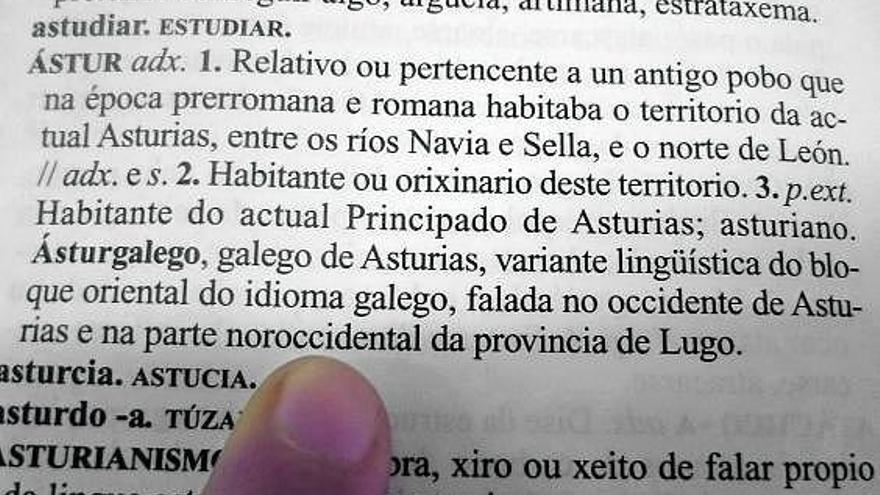 definición de asturgallego. El diccionario gallego dice que el asturgallego -también denominado fala- se habla en el occidente asturiano y en la mariña de Lugo.
