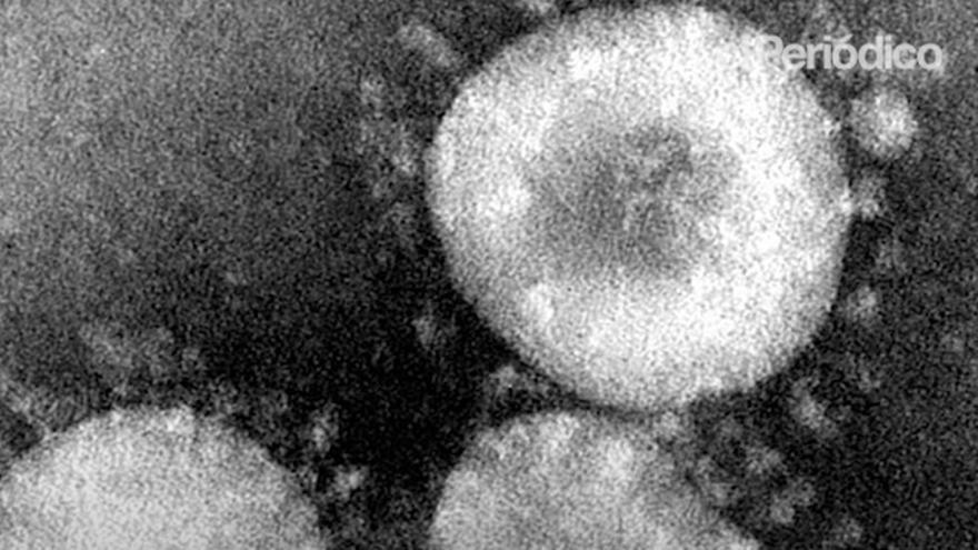 Coronavirus: una pandemia anunciada pero impredecible