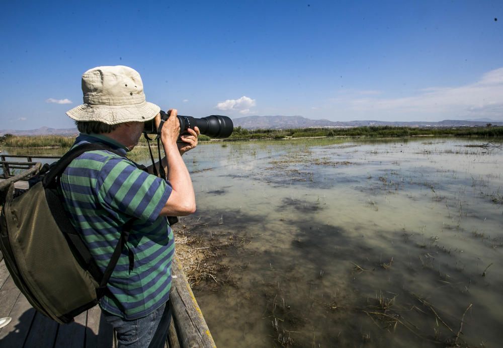 Ecologistas quieren proteger El Hondo