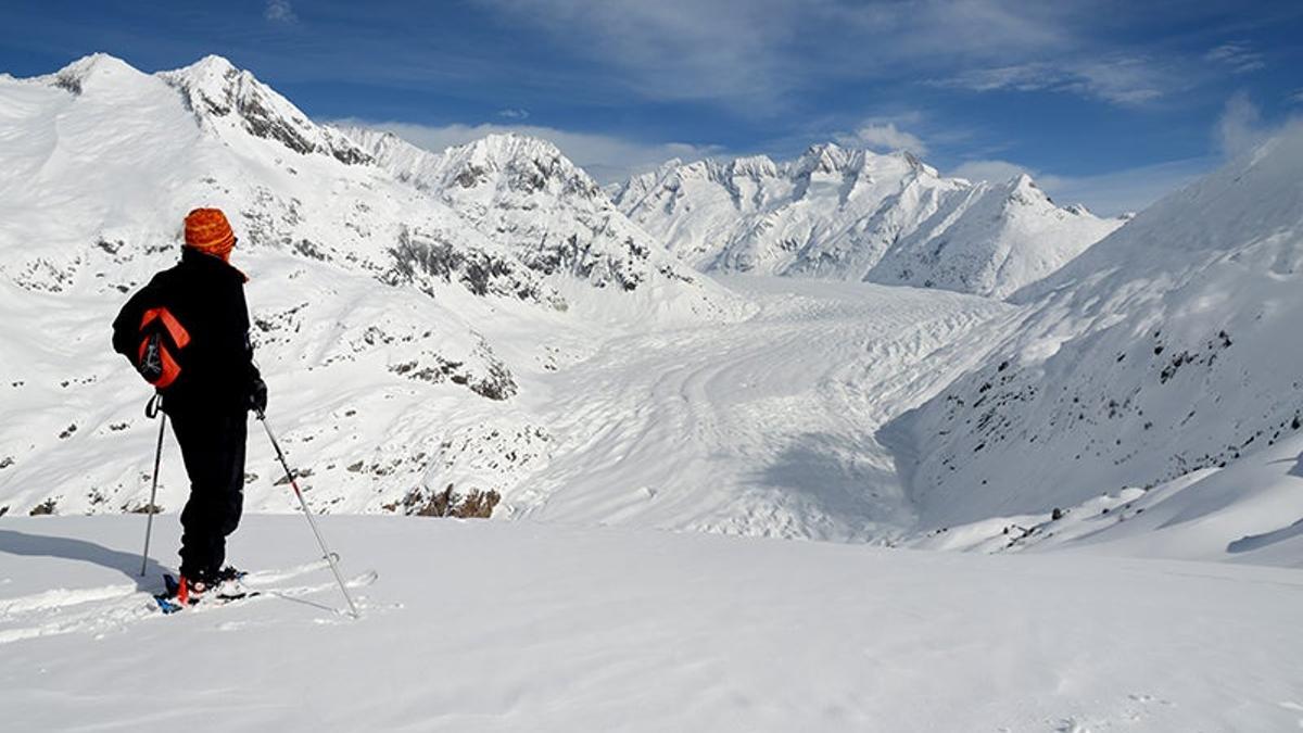 Aletsch Arena