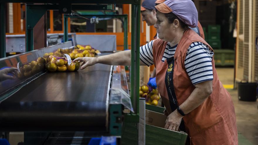 Más empresas y menos trabajadores en la Ribera