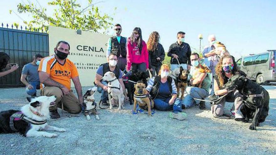 SWAT, un perro de narcóticos, en una demostración con voluntarios