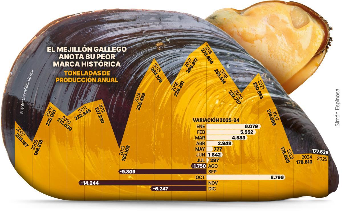 Evolución del mejillón en Galicia