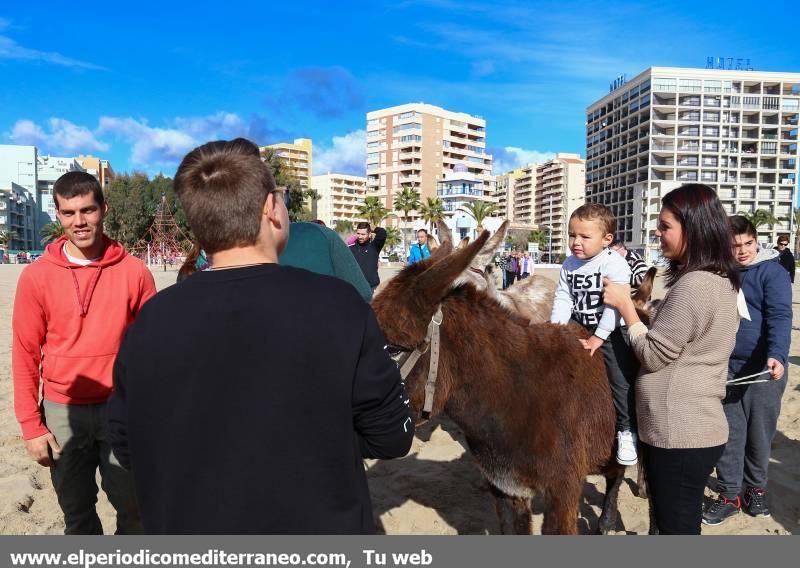 La playa de la Concha de Orpesa es un hipódromo por un día