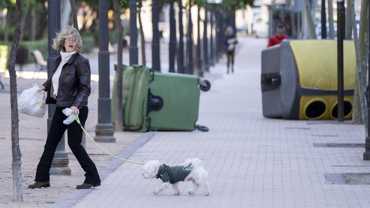 la Aemet confirma dónde y cuándo soplarán las rachas más fuertes hoy