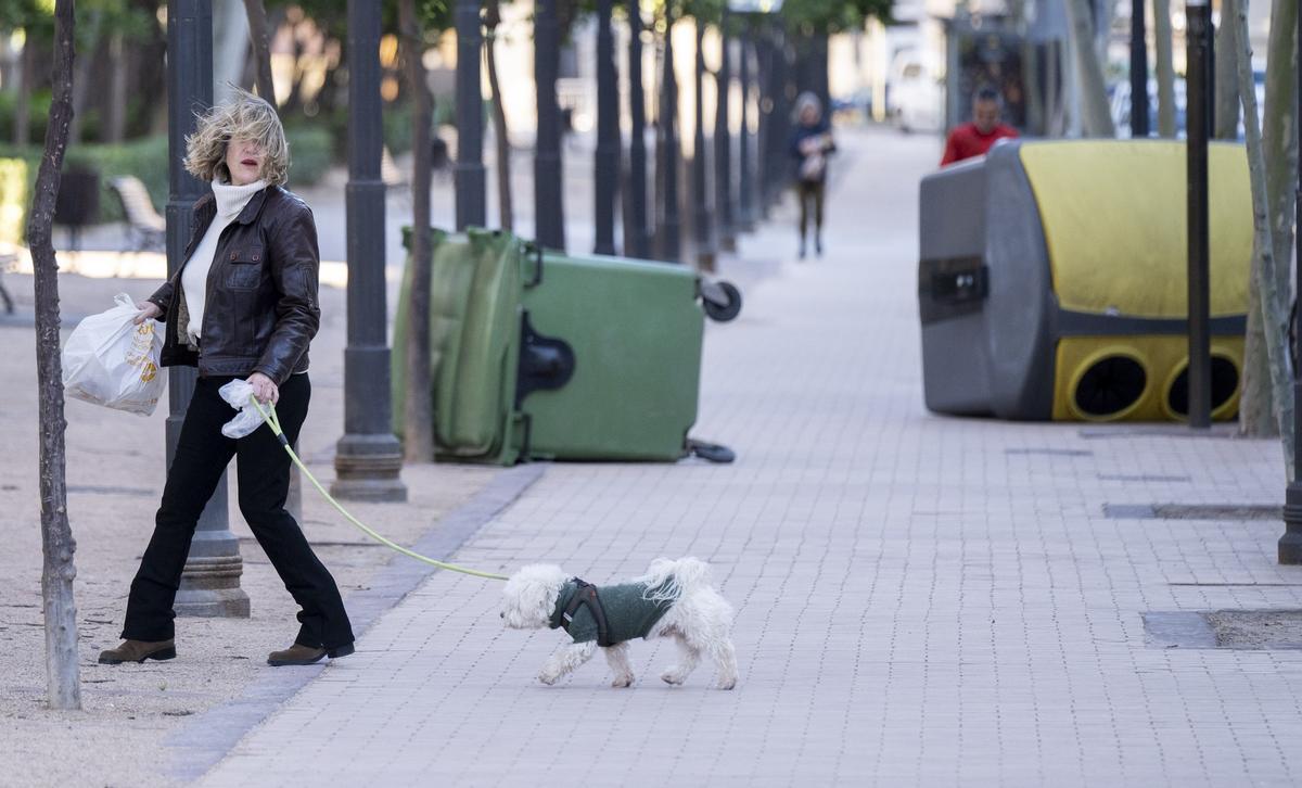 El viento sopla con fuerza huracanada este sábado en la C. Valenciana y está provocando numerosas incidencias.
