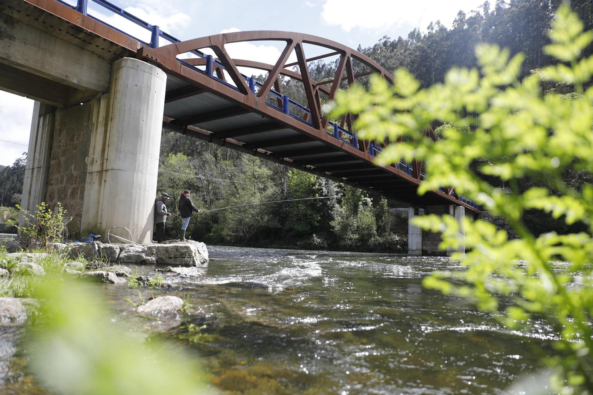 EN IMÁGENES: Segunda jornada de pesca de salmón en los ríos asturianos
