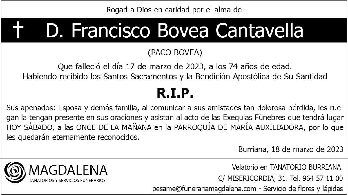 D. Francisco Bovea Cantavella